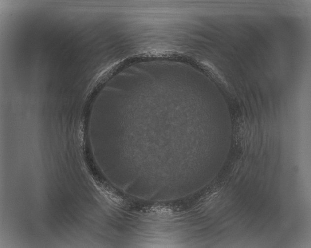 X0000062790640200512290223