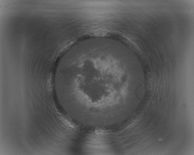 X0000062790641200512290223