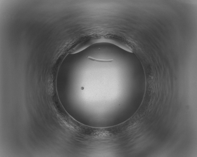 X0000062790642200512290224