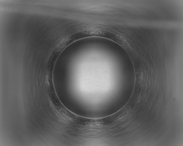 X0000062790643200512290224