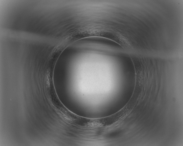 X0000062790644200512290224