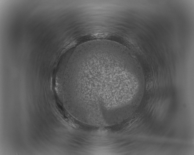 X0000062790647200512290224