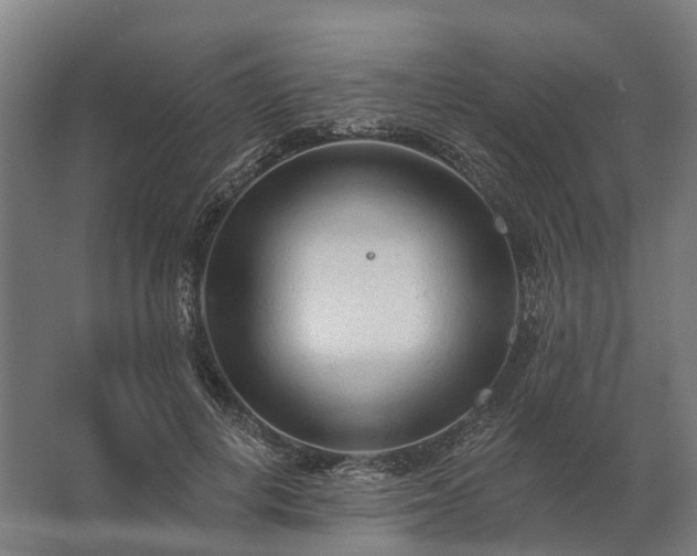 X0000062790648200512290224