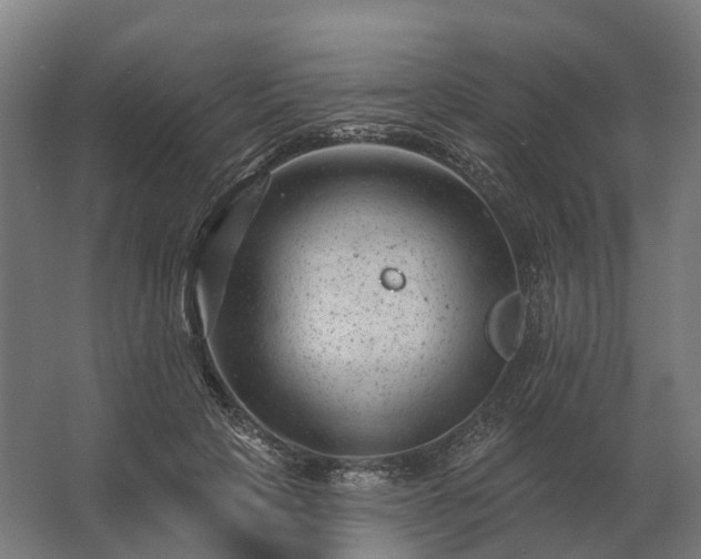 X0000062790649200512290224