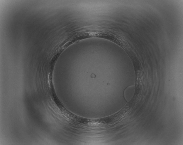 X0000062790650200512290224