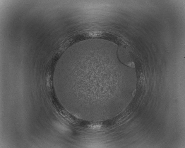 X0000062790651200512290224