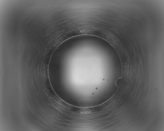 X0000062790653200512290224