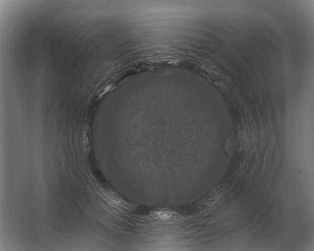 X0000062790654200512290224