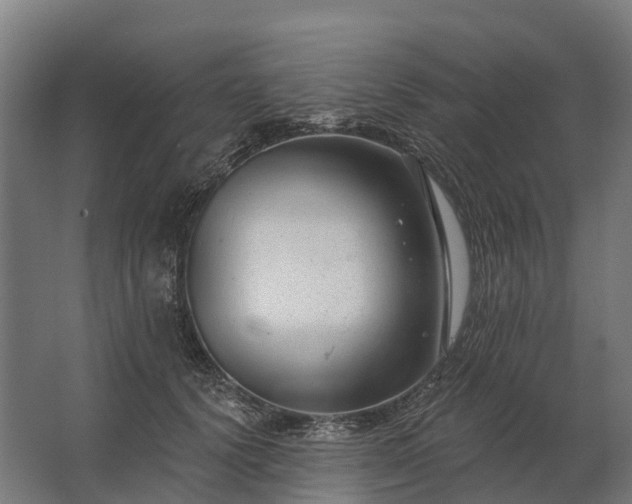 X0000062790656200512290224