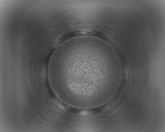 X0000062790657200512290224