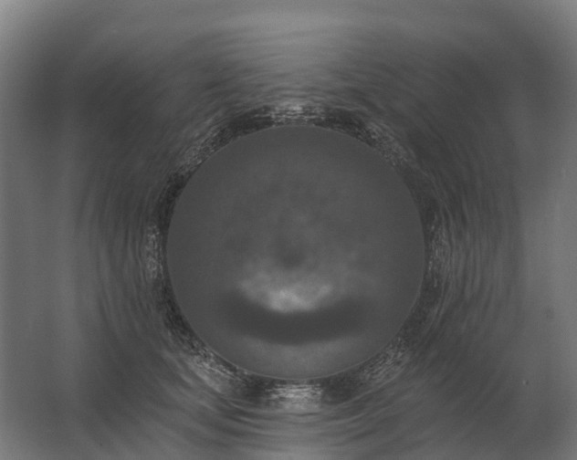 X0000062790659200512290224