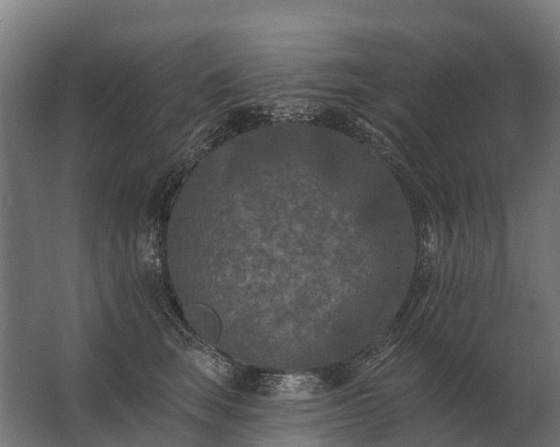 X0000062790663200512290224