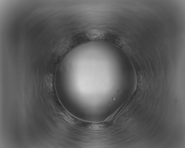 X0000062790664200512290224