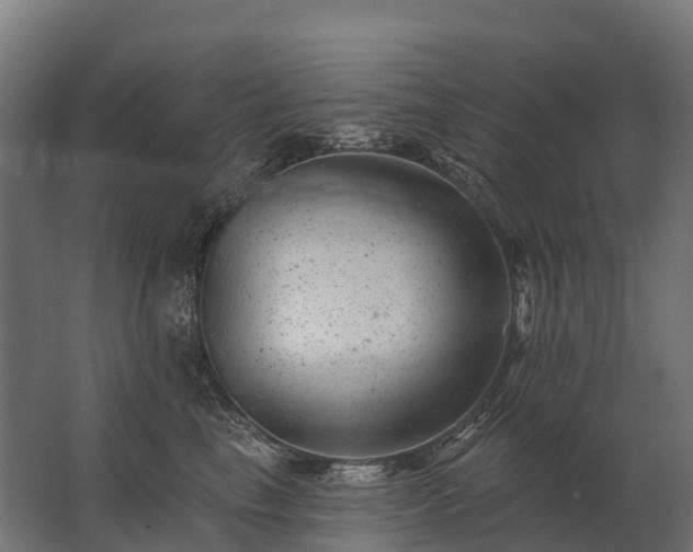 X0000062790665200512290224