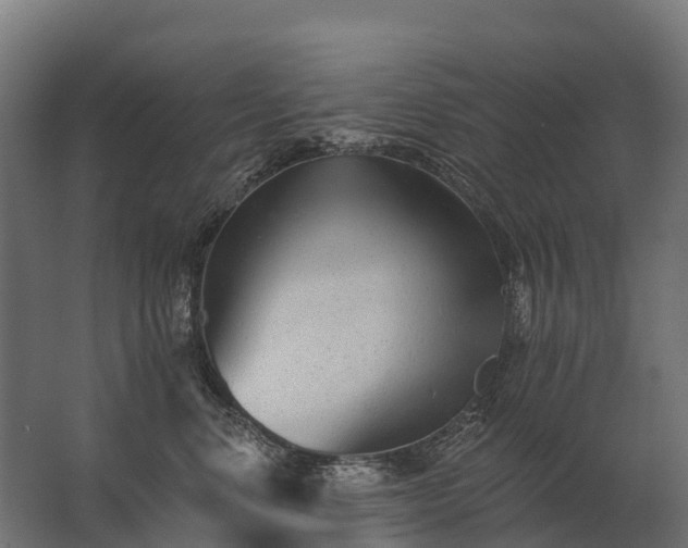 X0000062790668200512290224