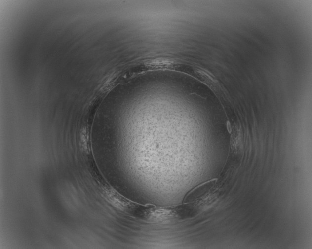 X0000062790669200512290224