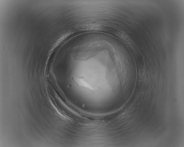 X0000062790674200512290223