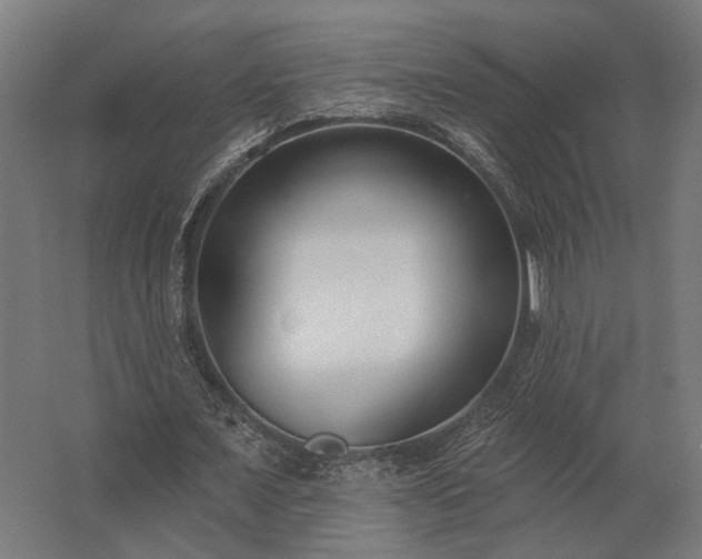 X0000062790675200512290223