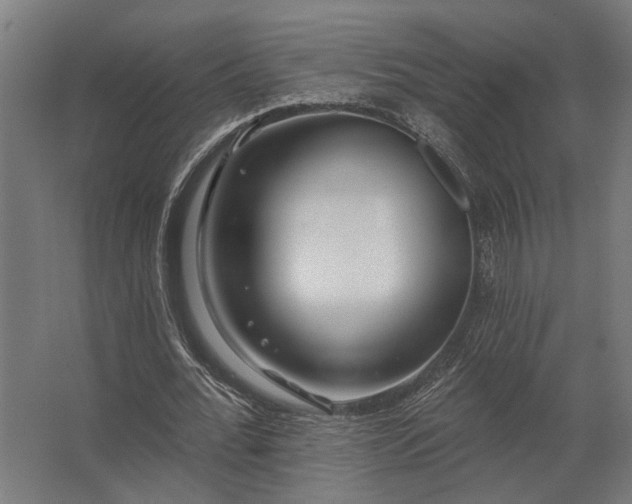 X0000062790676200512290223