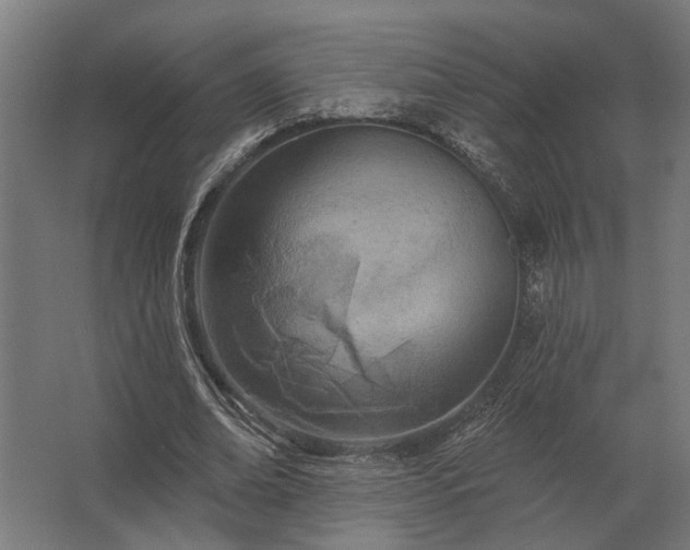 X0000062790678200512290223