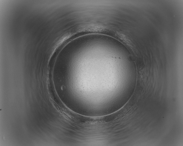 X0000062790679200512290223