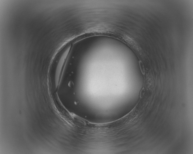 X0000062790680200512290223