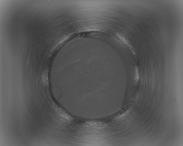 X0000062790681200512290223