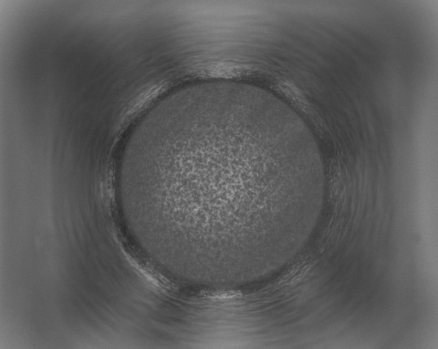 X0000062790683200512290223