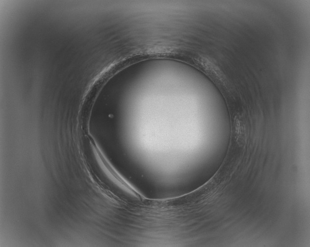 X0000062790684200512290223