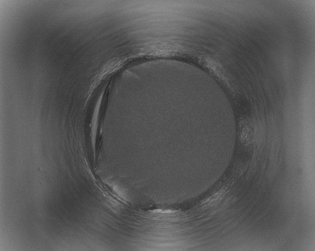 X0000062790685200512290223