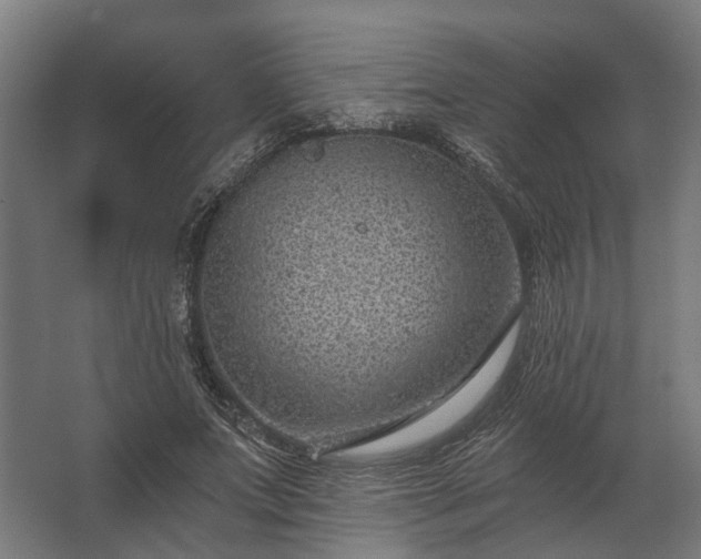 X0000062790687200512290223