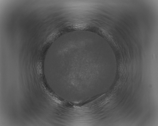 X0000062790689200512290223