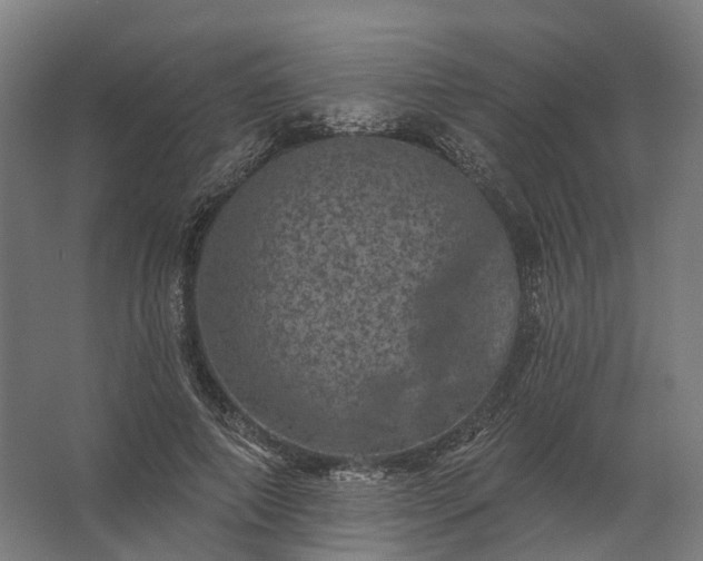 X0000062790690200512290223