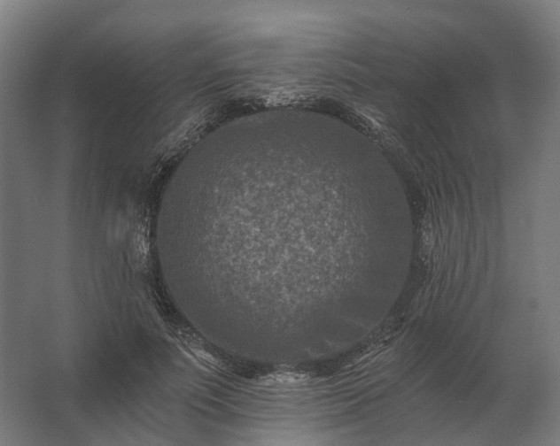 X0000062790691200512290223