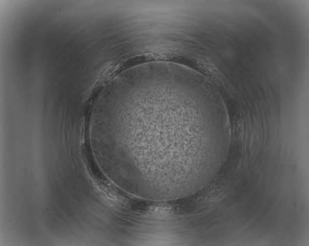 X0000062790694200512290223