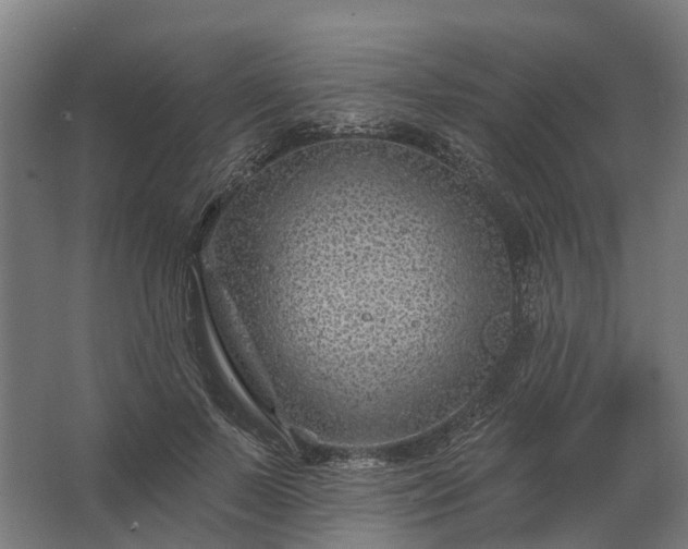 X0000062790695200512290223