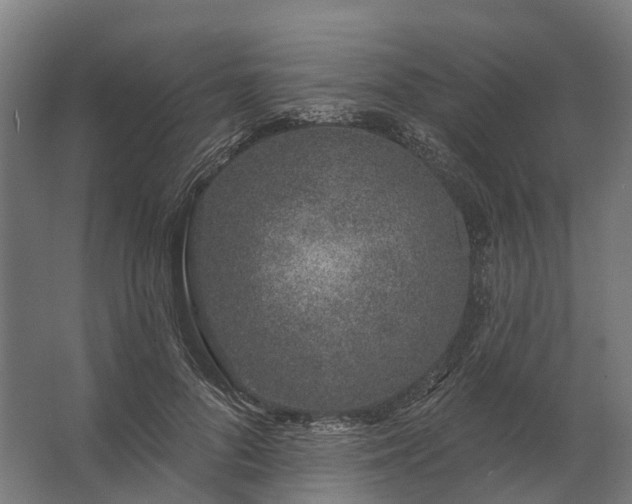 X0000062790696200512290223