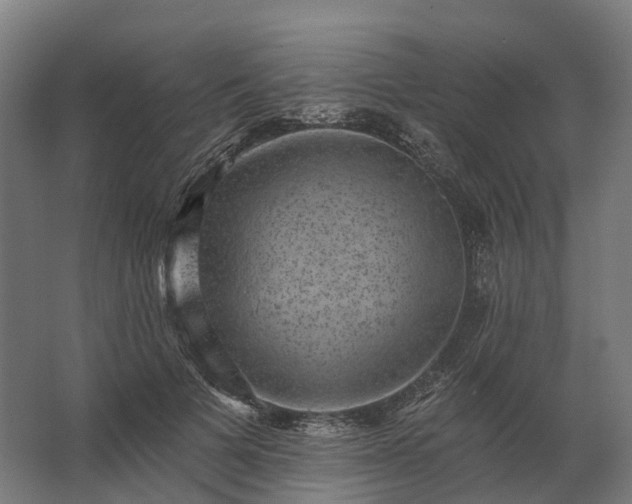 X0000062790697200512290223