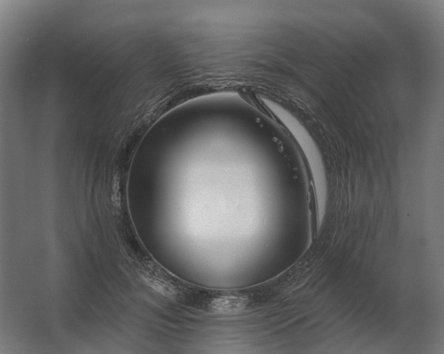 X0000062790700200512290223