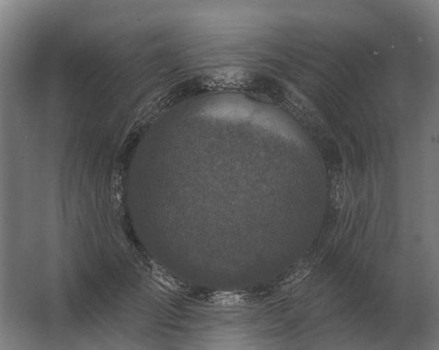 X0000062790701200512290223