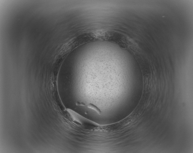 X0000062790702200512290223