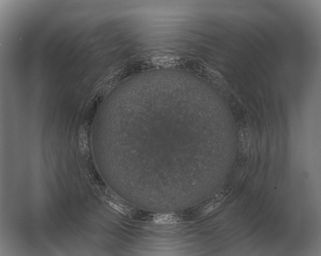 X0000062790705200512290223