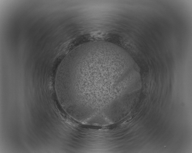 X0000062790706200512290223