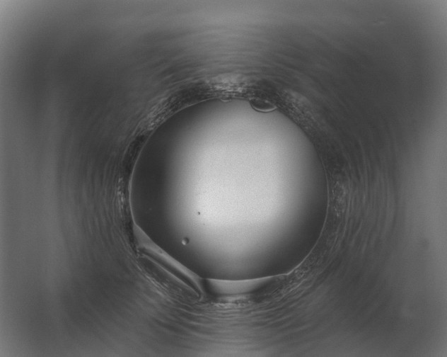 X0000062790707200512290223