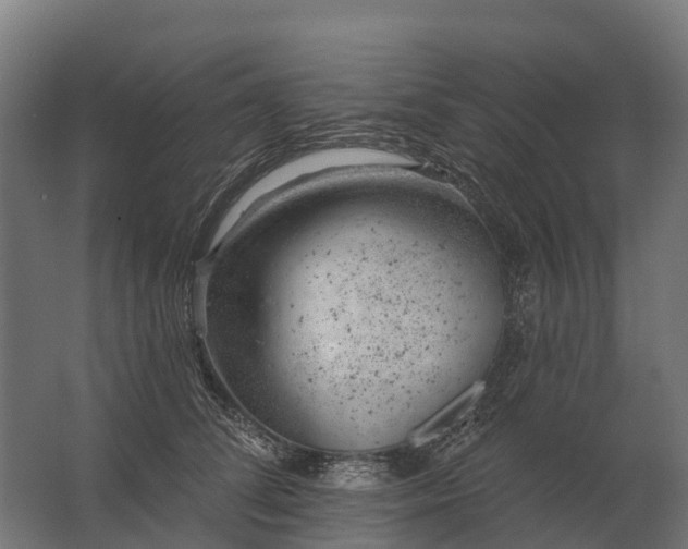 X0000062790708200512290223