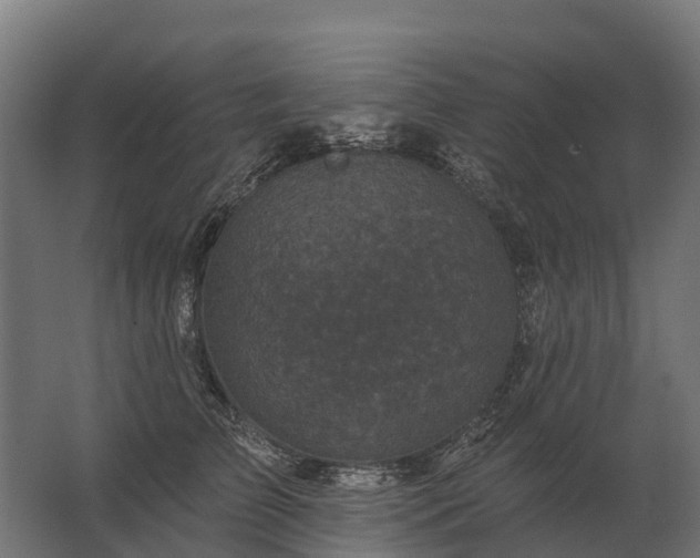 X0000062790709200512290223