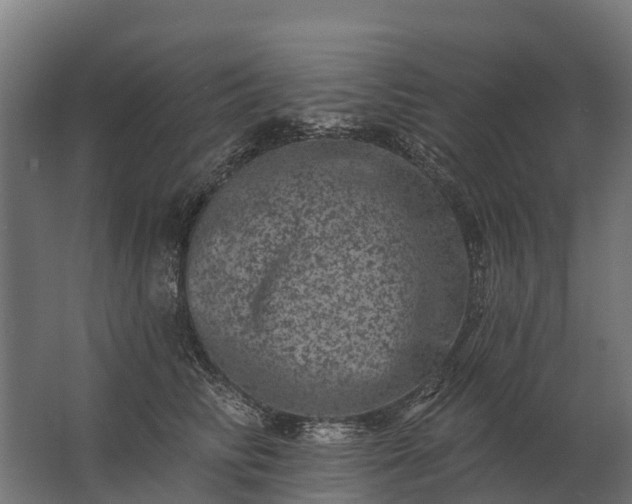 X0000062790710200512290223