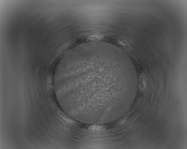 X0000062790714200512290223