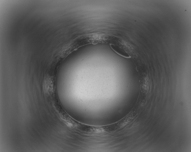 X0000062790715200512290222