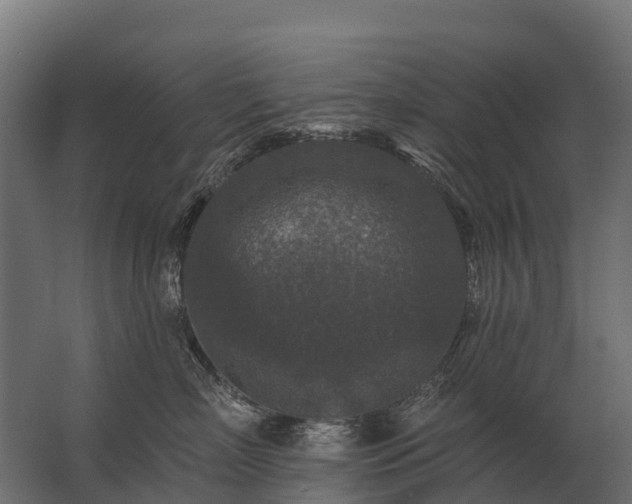 X0000062790718200512290222